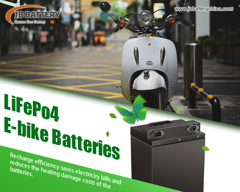 Can 48V 100AH Custom LiFePO4 Battery Pack Work In Electric Vehicles?